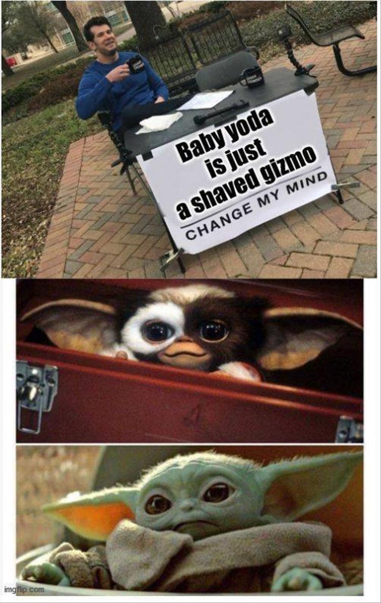 funny memes - baby yoda gizmo - Baby yoda is just a shaved gizmo Change My Mind imgflip.com