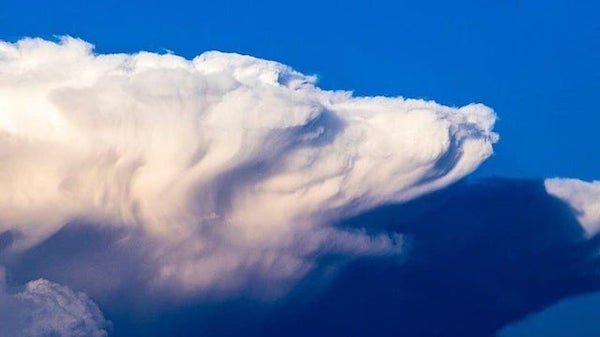 This cloud looks like an old bear from the 1800 century