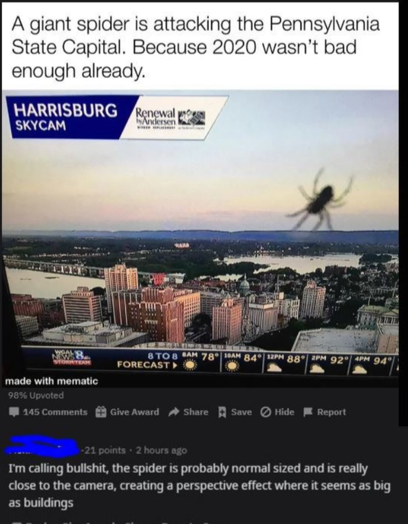 renewal by andersen - A giant spider is attacking the Pennsylvania State Capital. Because 2020 wasn't bad enough already. Harrisburg Renewal Skycam ersen mm 8. Tem Ta N 78 Forecast 84 88 92 94" made with mematic 9886 Upvoted 145 Glee Award A Swer Hide Rep