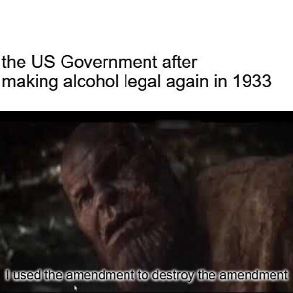 dank history memes - photo caption - the Us Government after making alcohol legal again in 1933 I used the amendment to destroy the amendment
