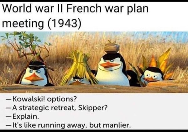dank history memes - penguins of madagascar escape - World War Ii French war plan meeting 1943 Kowalski! options? A strategic retreat, Skipper? Explain. It's running away, but manlier.