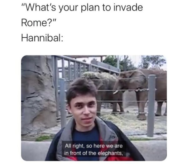 dank history memes - me at the zoo - "What's your plan to invade Rome?" Hannibal All right, so here we are in front of the elephants,