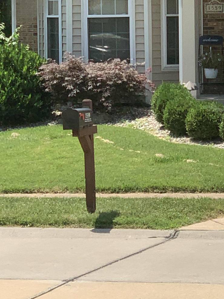 “Went on a walk and noticed a floating mailbox post.”