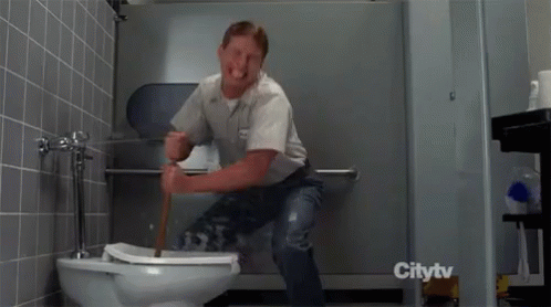 plunging toilet gif - Citytv
