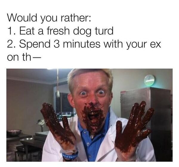 random pics and funny memes - communication - Would you rather 1. Eat a fresh dog turd 2. Spend 3 minutes with your ex on the of the