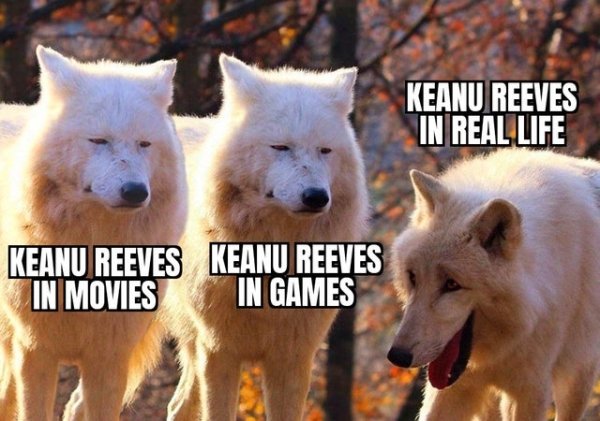 random pics and funny memes - laughing wolves meme format - Keanu Reeves In Real Life Keanu Reeves Keanu Reeves In Movies In Games