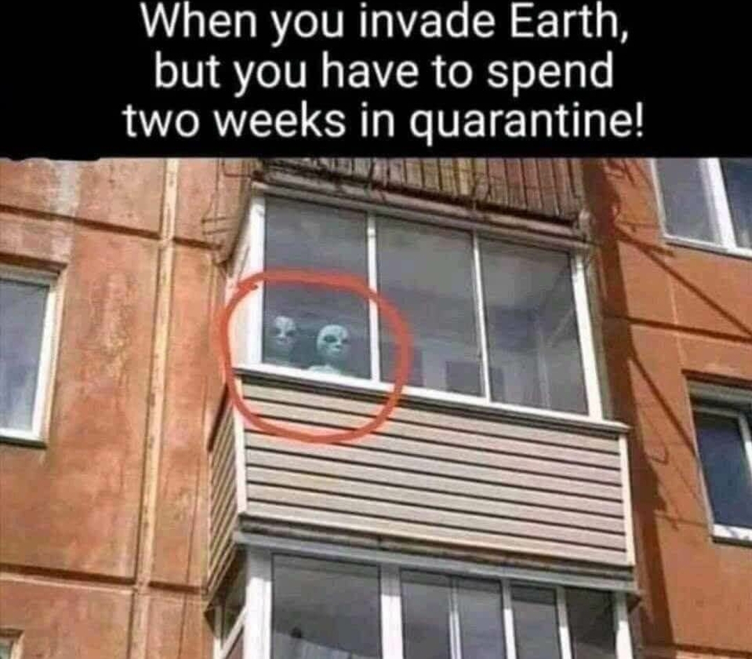 you invade earth but you have - When you invade Earth, but you have to spend two weeks in quarantine!