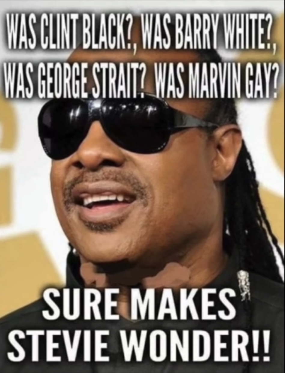 photo caption - Was Clint Black? Was Barry White? Was George Strait? Was Marvin Gay? Sure Makes Stevie Wonder!!