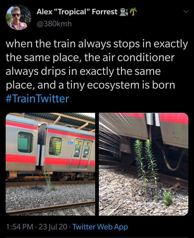 train - Alex "Tropical" Forrest in when the train always stops in exactly the same place, the air conditioner always drips in exactly the same place, and a tiny ecosystem is born Twitter Me 32 23 Jul 20 Twitter Web App