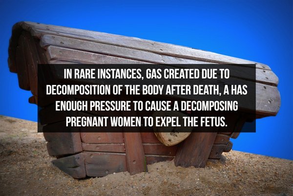 Coffin - In Rare Instances, Gas Created Due To Decomposition Of The Body After Death, A Has Enough Pressure To Cause A Decomposing Pregnant Women To Expel The Fetus.