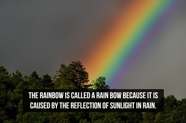 rainbow - The Rainbow Is Called A Rain Bow Because It Is Caused By The Reflection Of Sunlight In Rain.