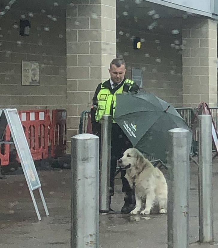 security guard holding umbrella over dog - f