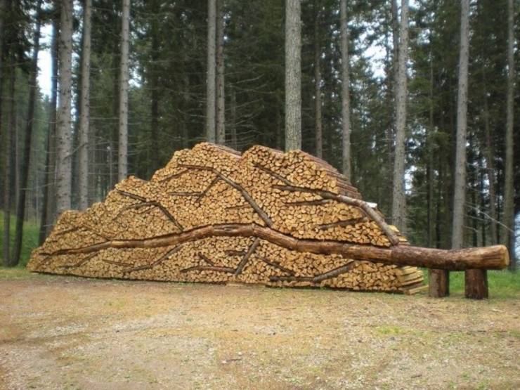log art