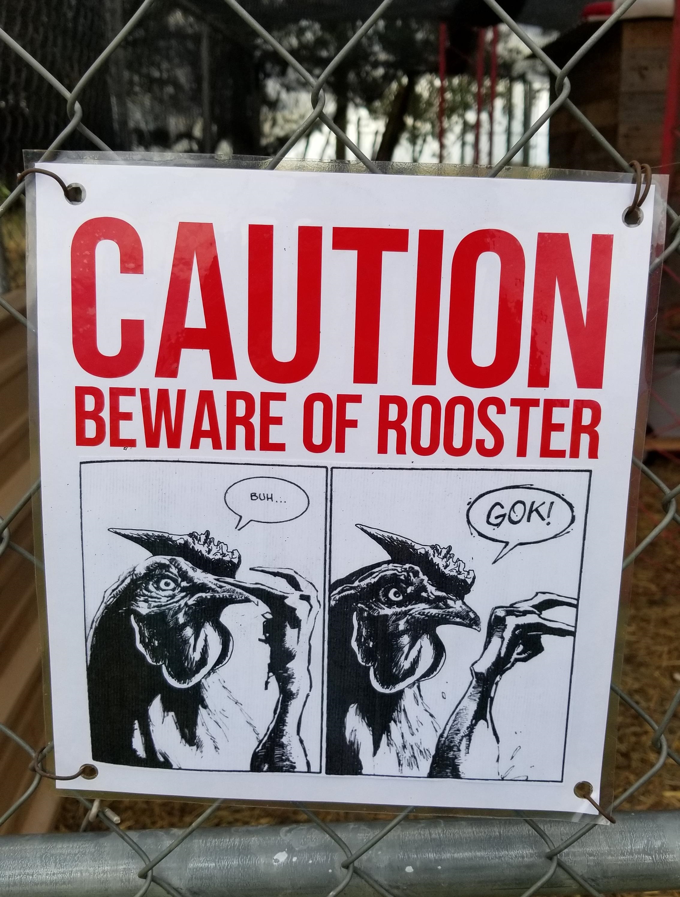 poster - Caution Beware Of Rooster Gok!