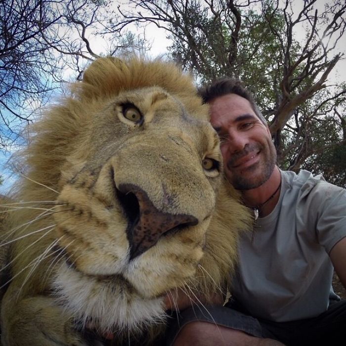 lion selfie