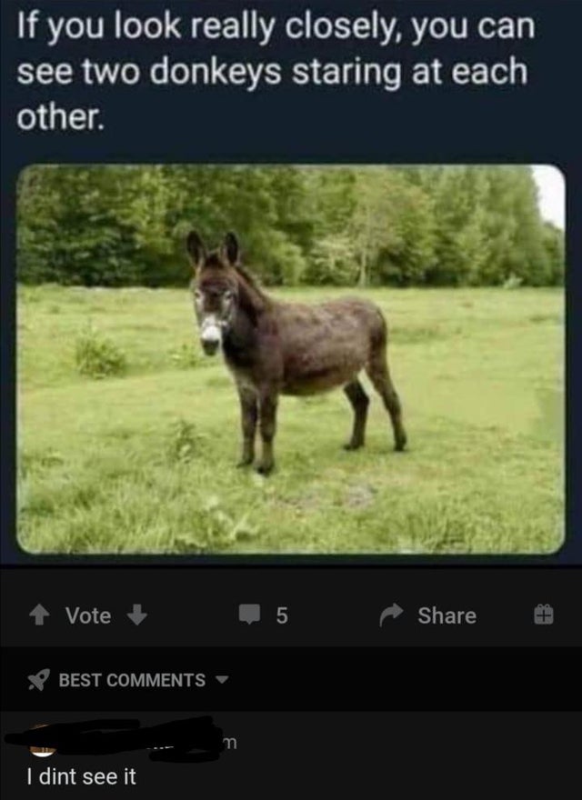 there's two donkeys looking at each other - If you look really closely, you can see two donkeys staring at each other. Vote 5 Best I dint see it