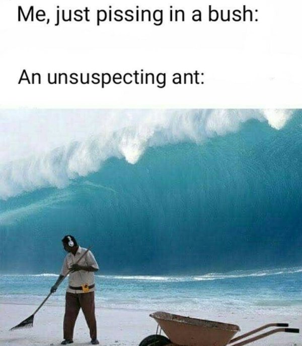 mongol typhoon meme - Me, just pissing in a bush An unsuspecting ant