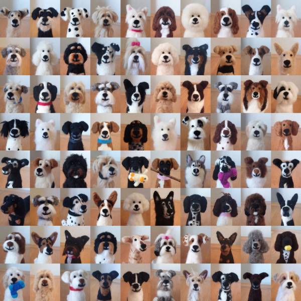 “80 needle felt dogs I've made this year.”
