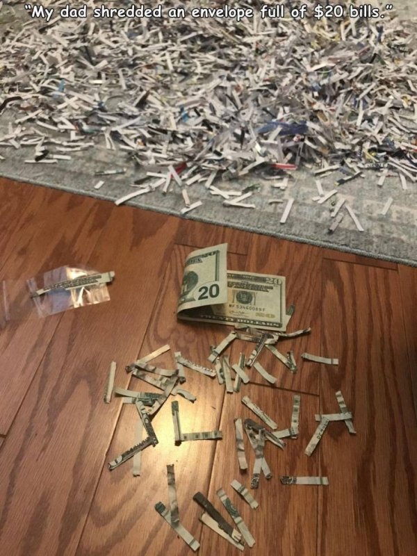 wood - "My dad shredded an envelope full of $20 bills. 20