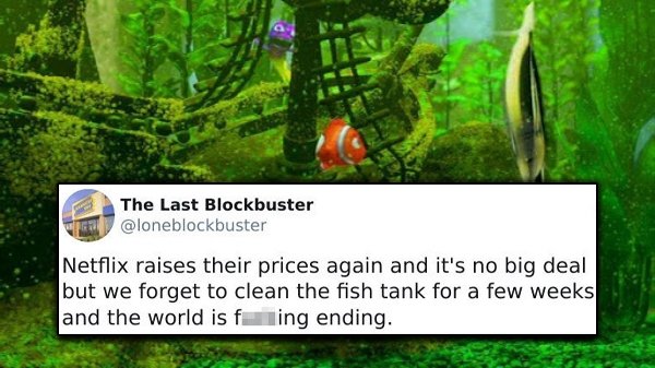 nature - The Last Blockbuster Netflix raises their prices again and it's no big deal but we forget to clean the fish tank for a few weeks and the world is fling ending.