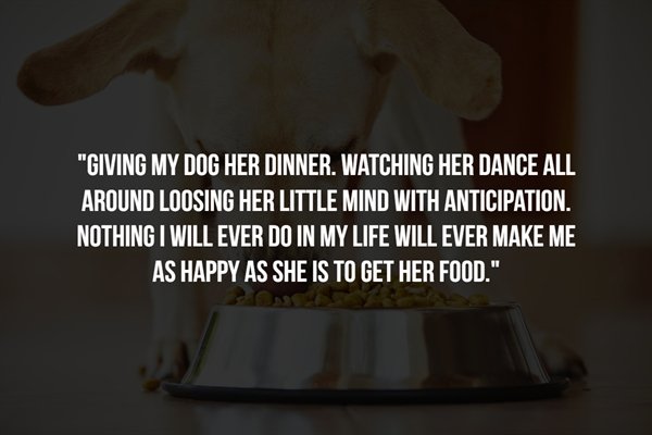 indiana - "Giving My Dog Her Dinner. Watching Her Dance All Around Loosing Her Little Mind With Anticipation. Nothing I Will Ever Do In My Life Will Ever Make Me As Happy As She Is To Get Her Food."