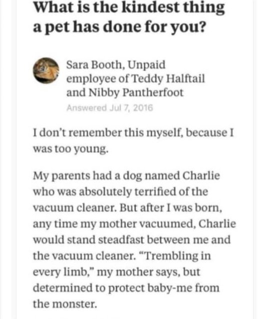 tumblr - What is the kindest thing a pet has done for you? Sara Booth, Unpaid employee of Teddy Halftail and Nibby Pantherfoot Answered I don't remember this myself, because I was too young. My parents had a dog named Charlie who was absolutely terrified 