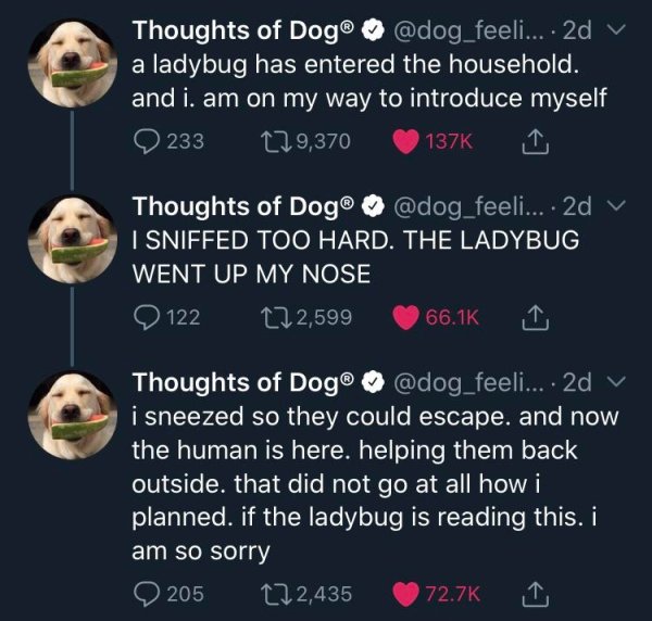 Thoughts of Dog ... 2d v a ladybug has entered the household. and i. am on my way to introduce myself 233 129, Thoughts of Dog ... 2d I Sniffed Too Hard. The Ladybug Went Up My Nose 122 122,599 Thoughts of Dog ... 2d v i sneezed so they could escape, and…