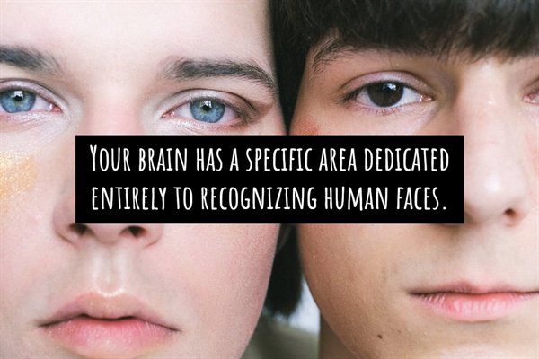 lip - Your Brain Has A Specific Area Dedicated Entirely To Recognizing Human Faces.