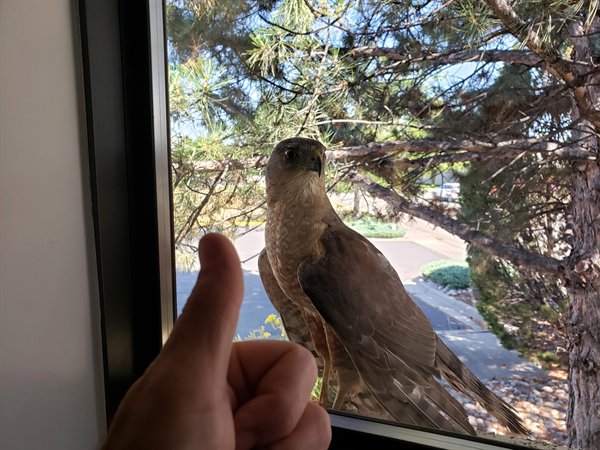 31 Cool Things People Snapped a Picture of.