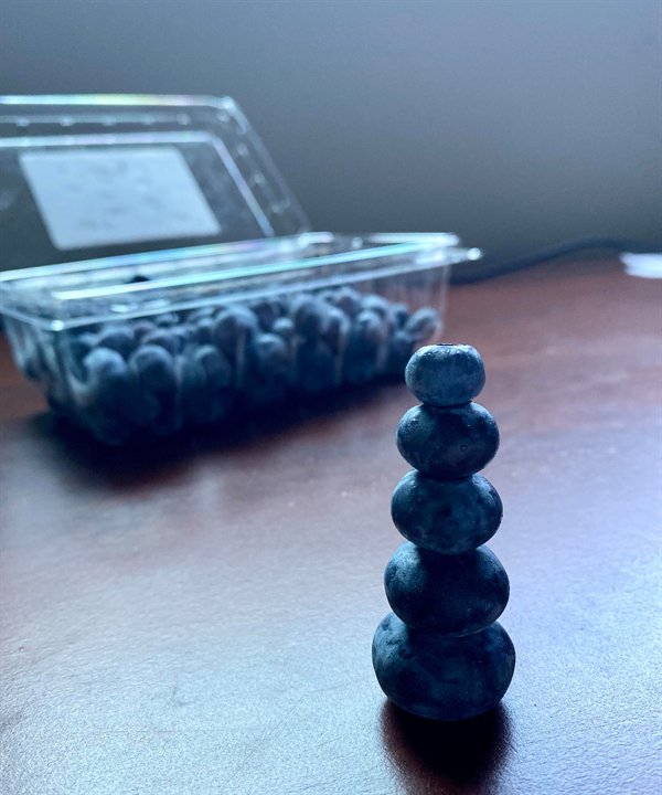 31 Cool Things People Snapped a Picture of.