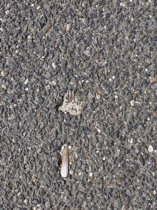 31 Cool Things People Snapped a Picture of.