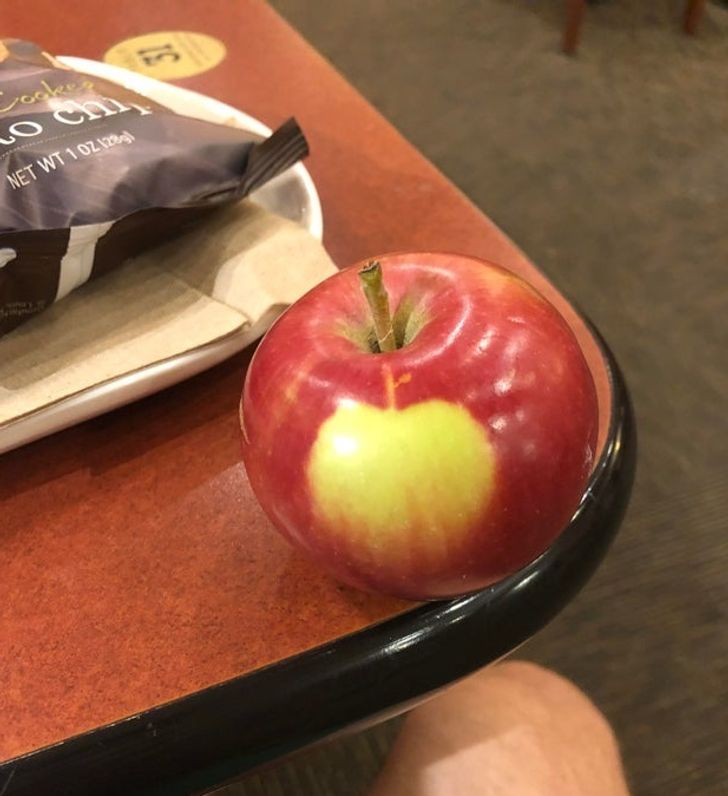 31 Cool Things People Snapped a Picture of.