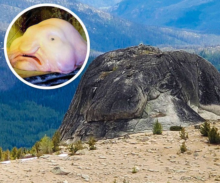 31 Cool Things People Snapped a Picture of.