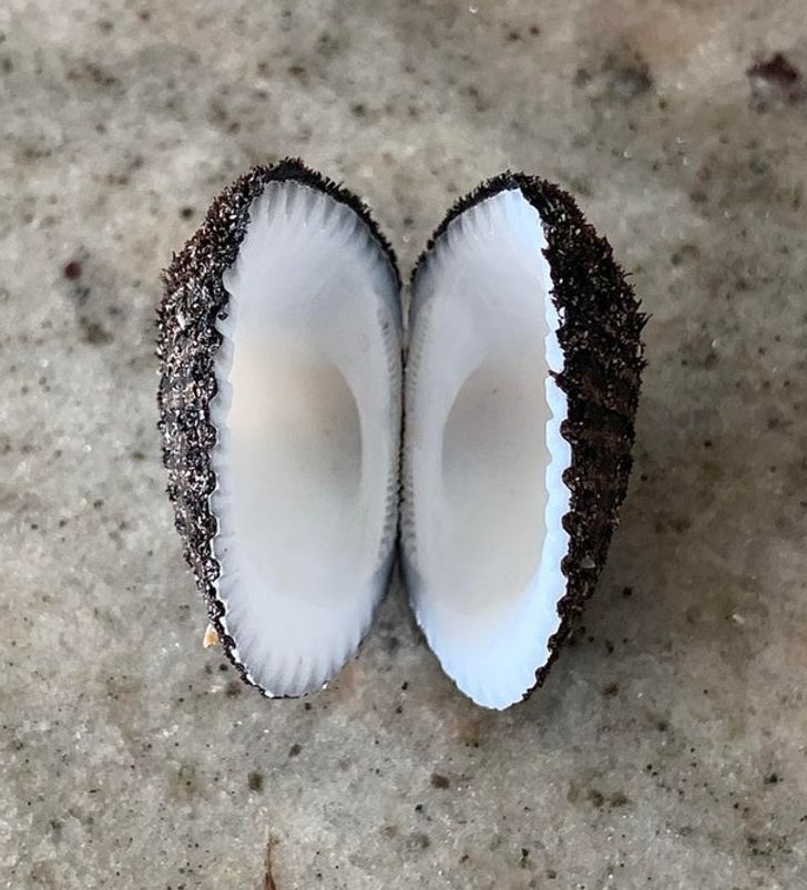 31 Cool Things People Snapped a Picture of.