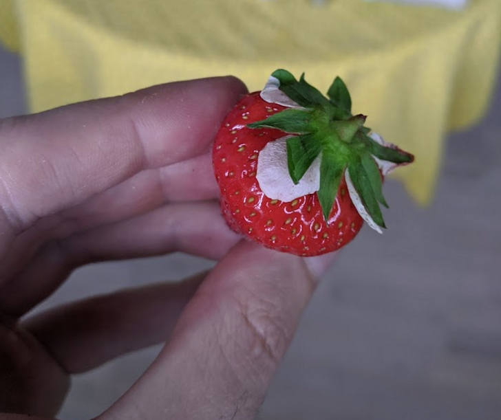 31 Cool Things People Snapped a Picture of.