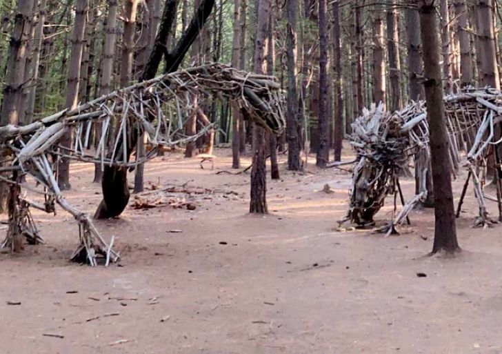 31 Cool Things People Snapped a Picture of.