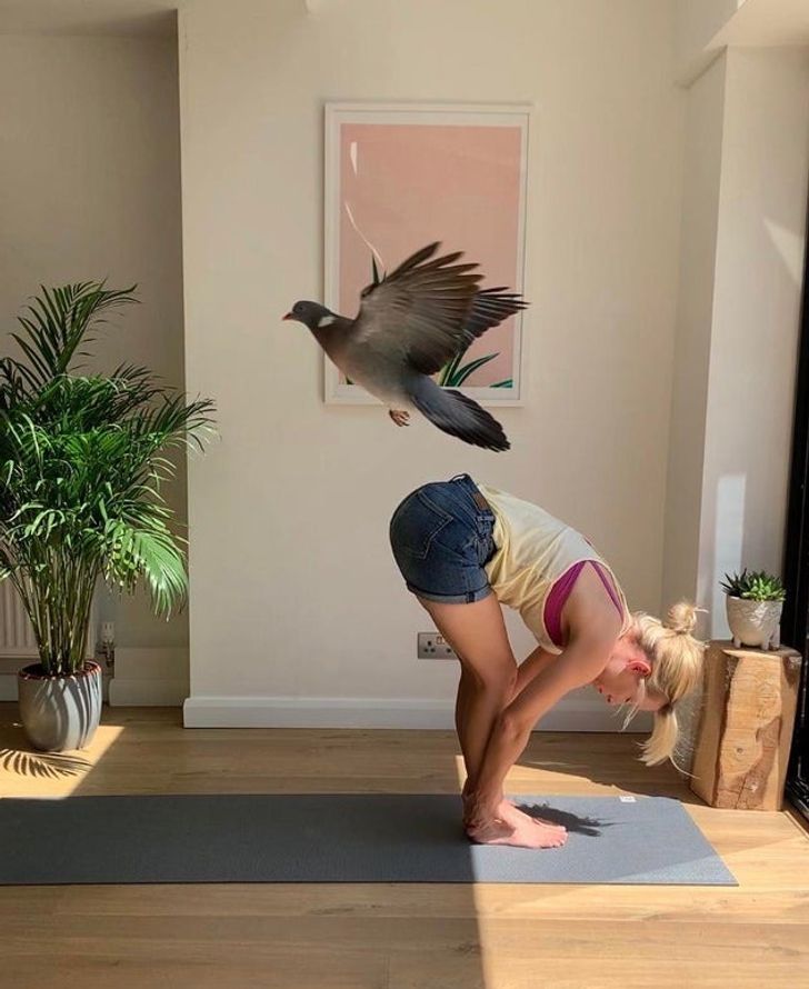 31 Cool Things People Snapped a Picture of.