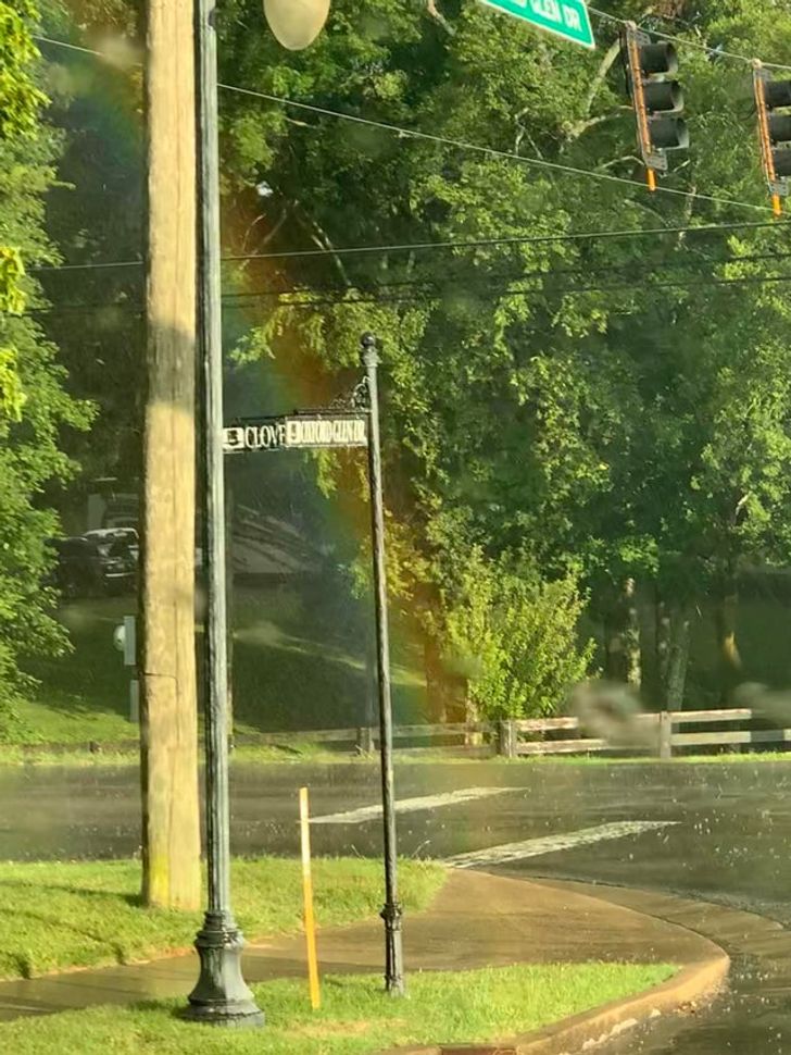 31 Cool Things People Snapped a Picture of.