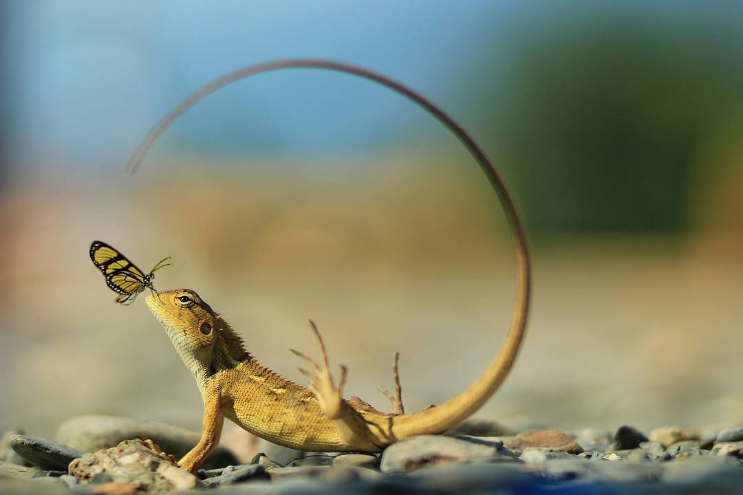 31 Cool Things People Snapped a Picture of.