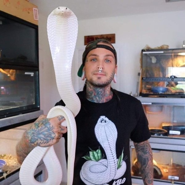 guy holding large white cobra snake