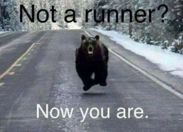 not a runner now you are bear - Not a runner? Now you are.