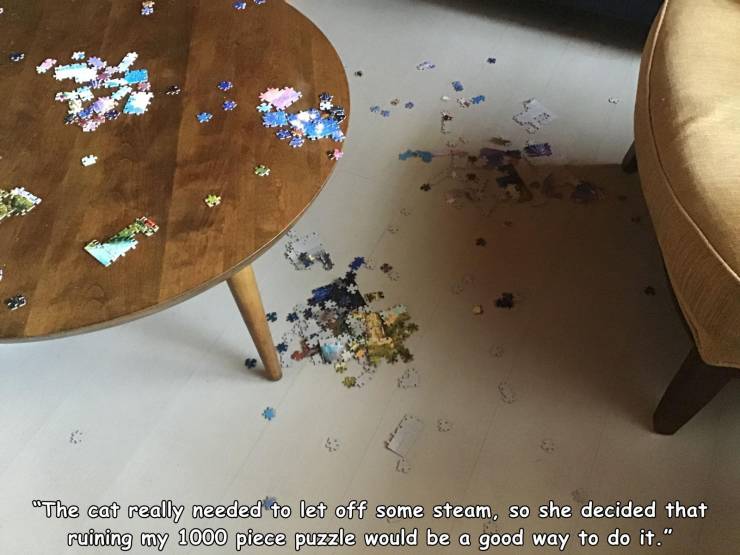 table - "The cat really needed to let off some steam, so she decided that ruining my 1000 piece puzzle would be a good way to do it."