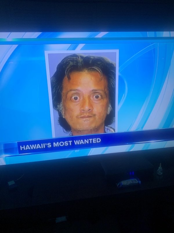 fun - Hawaii'S Most Wanted