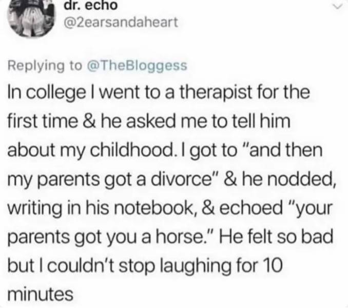 TheBloggess - dr. echo In college I went to a therapist for the first time & he asked me to tell him about my childhood. I got to "and then my parents got a divorce" & he nodded, writing in his notebook, & echoed "your parents got you a horse." He felt so