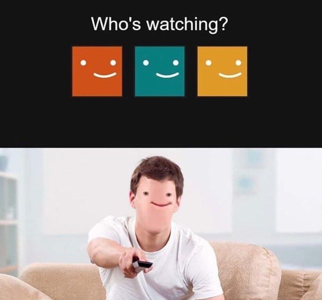 watching netflix meme - Who's watching?