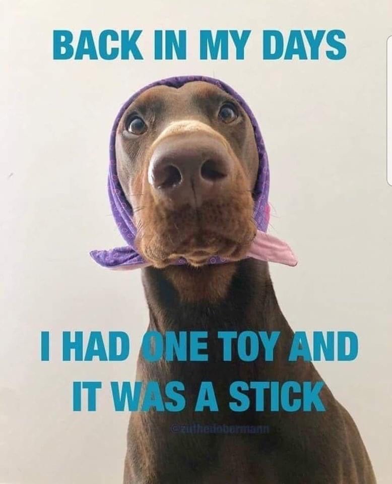 photo caption - Back In My Days I Had Ne Toy And It Was A Stick