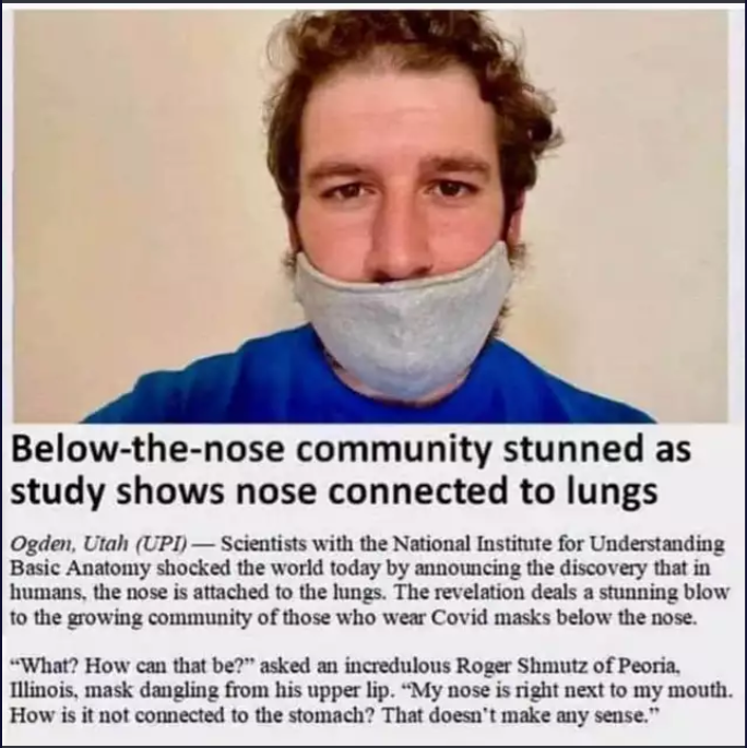Nose - Belowthenose community stunned as study shows nose connected to lungs Ogden, Utah UpdScientists with the National Institute for Understanding Basic Anatomy shocked the world today by announcing the discovery that in humans, the nose is attached to 