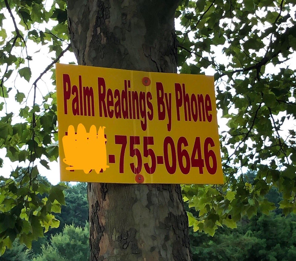 nature - Palm Readings By Phone 75506A