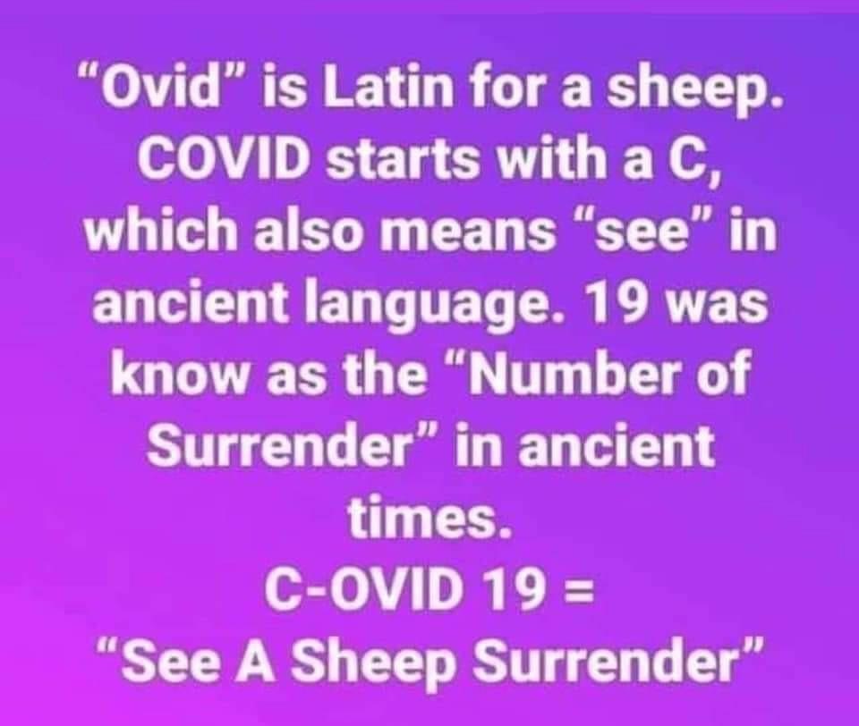 switch off mobile - "Ovid is Latin for a sheep. Covid starts with a C, which also means "see" in ancient language. 19 was know as the "Number of Surrender" in ancient times. COvid 19 "See A Sheep Surrender"