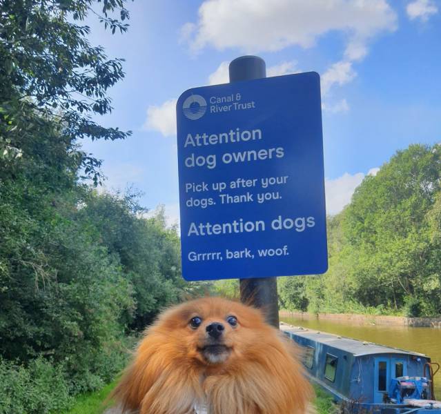 fascinating photos - pomeranian - Canal & River Trust Attention dog owners Pick up after your dogs. Thank you. Attention dogs Grrrrr, bark, woof.